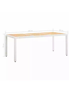 Parker 9 Piece Outdoor Dining Set Poly Rattan White